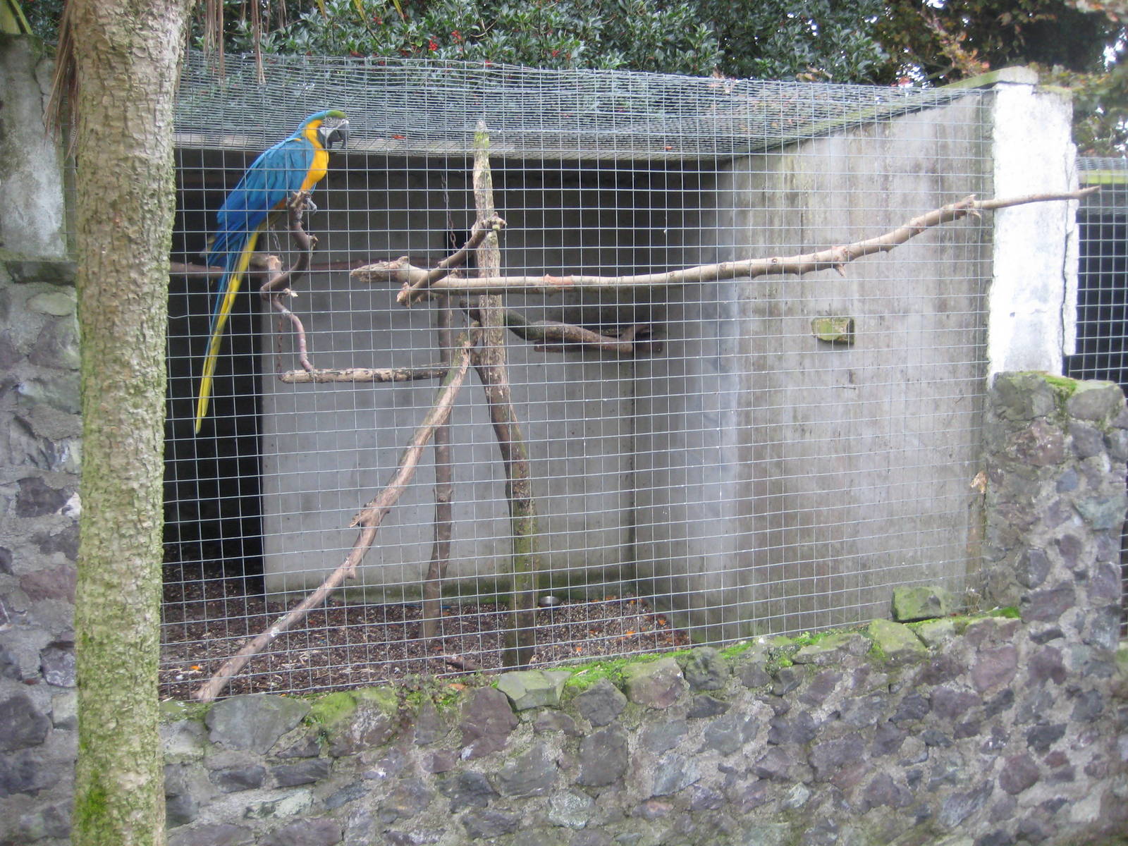 Collon Animal Sanctuary