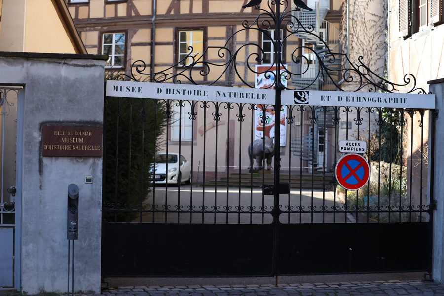 Colmar Natural History Museum