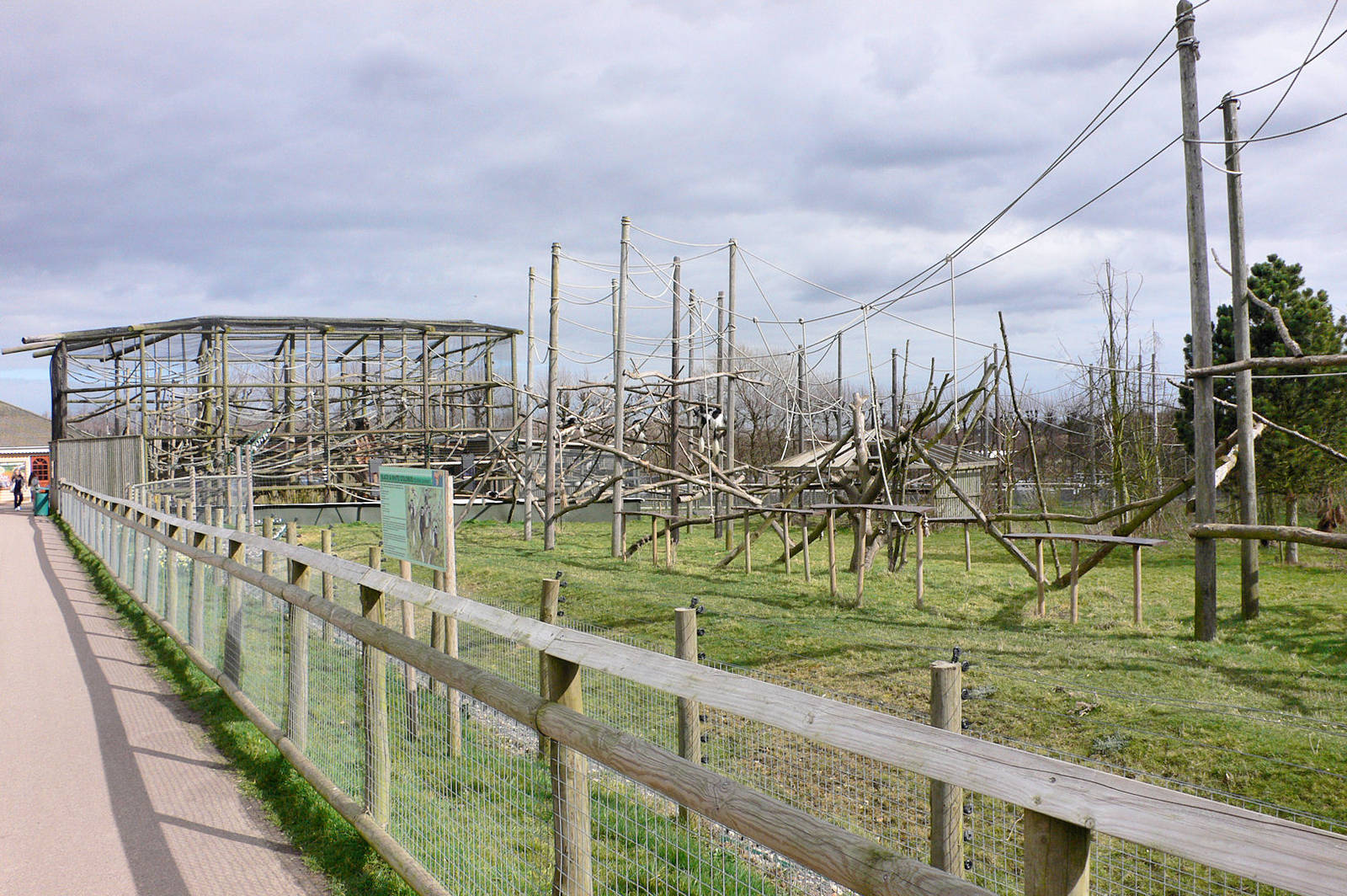 Colobus and Gelada Exhibit, Howletts, 14 March 09