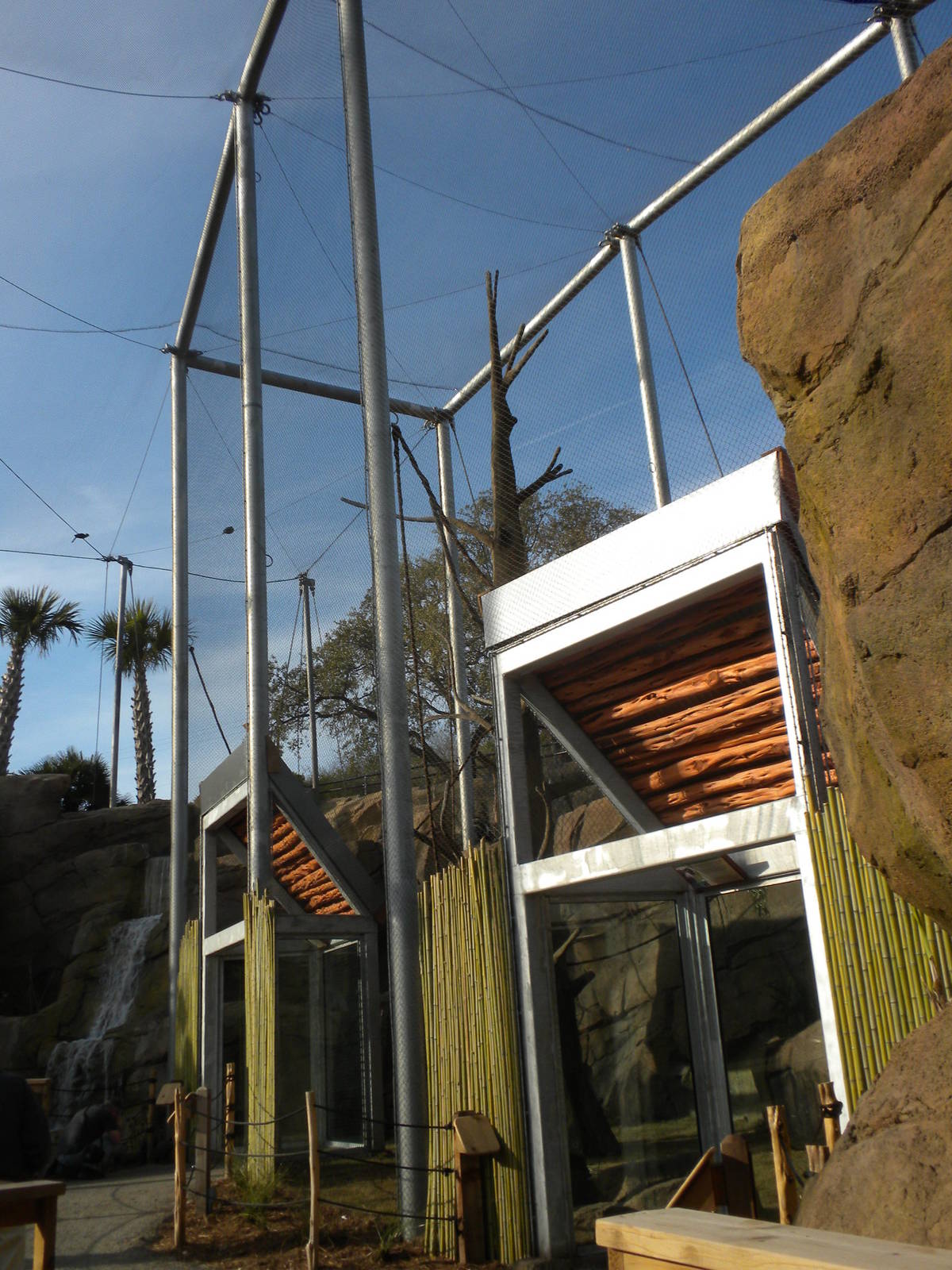 Colobus and Mangabey exhibit