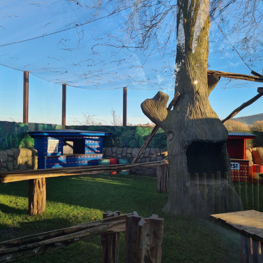 Colobus Enclosure 1, Drusillas Park