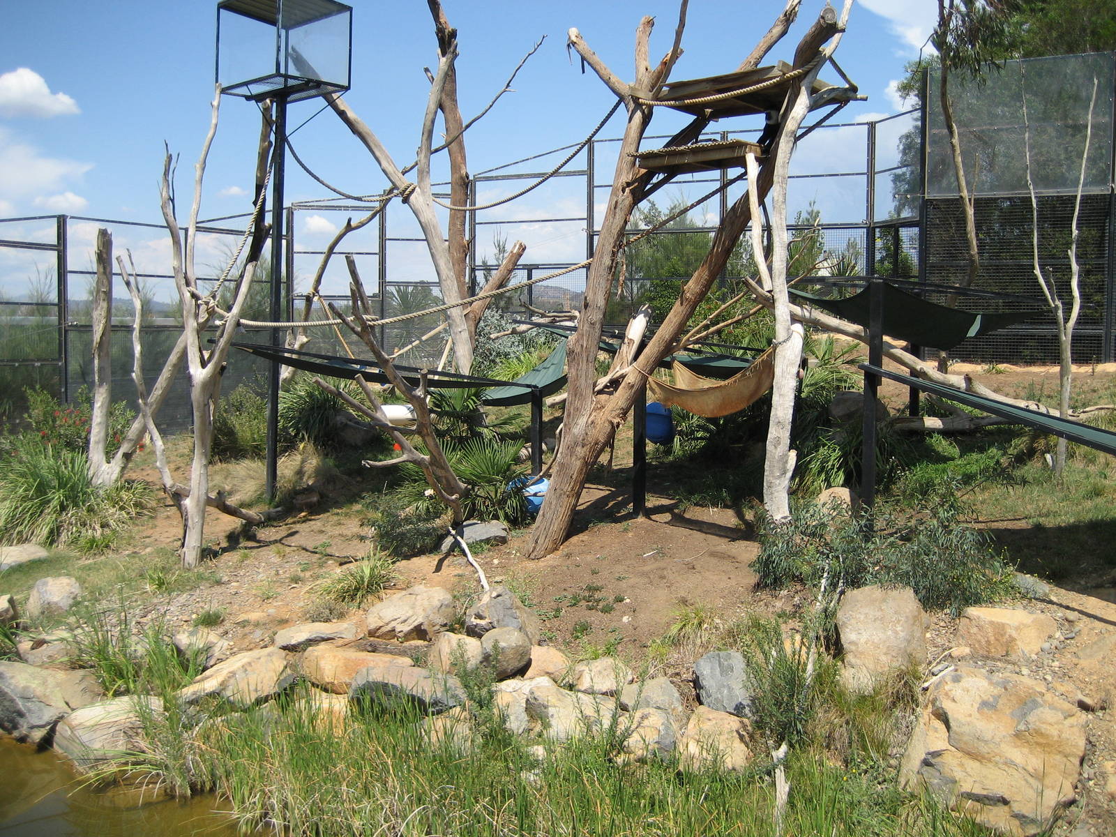 Colobus enclosure - 2007