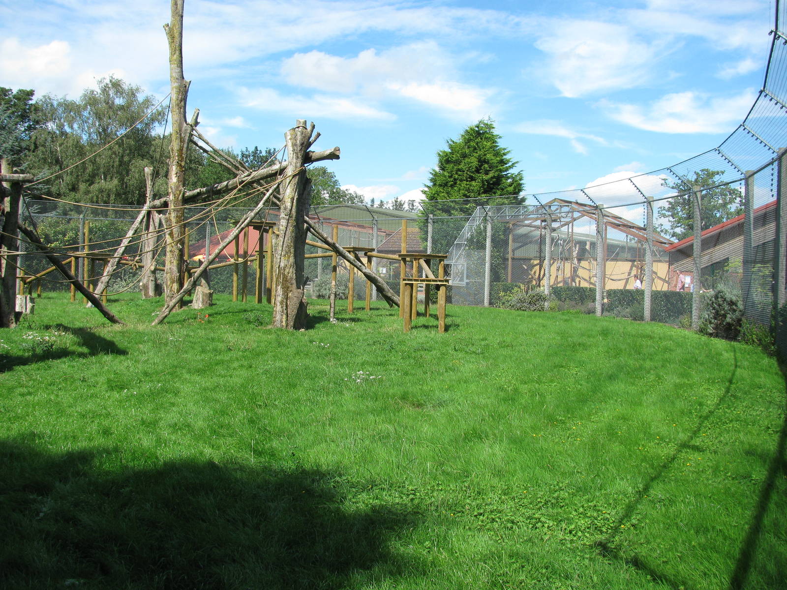 Colobus enclosure improvements