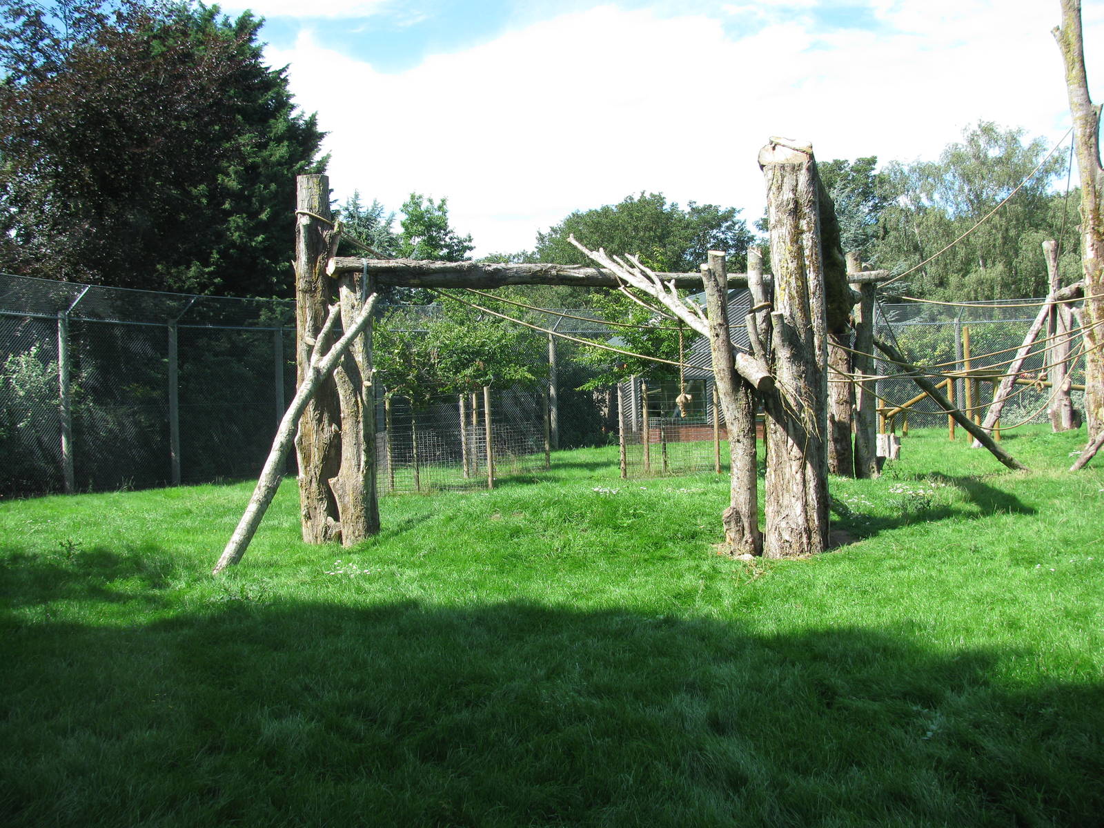 Colobus enclosure improvements