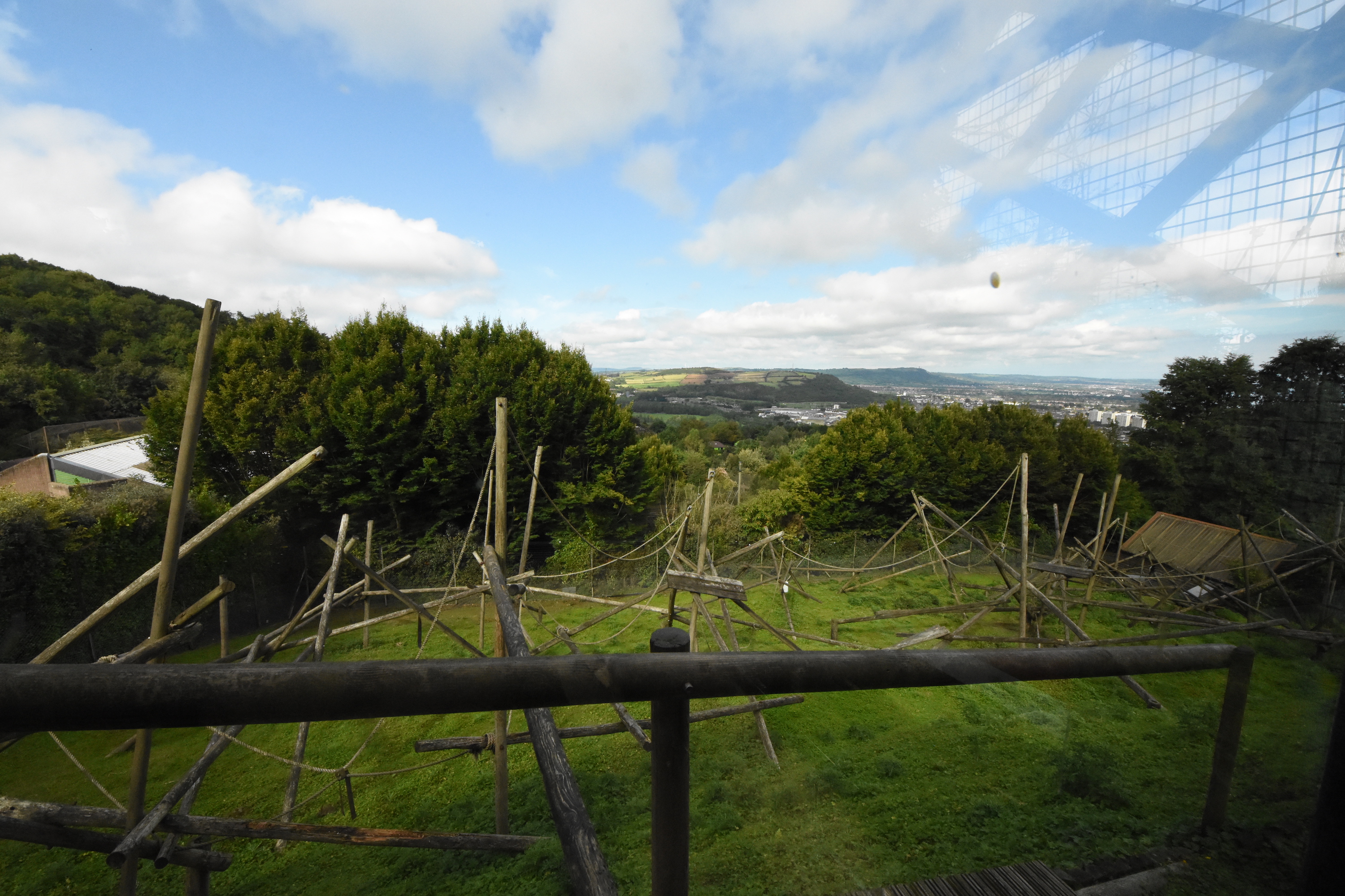 Colobus enclosure
