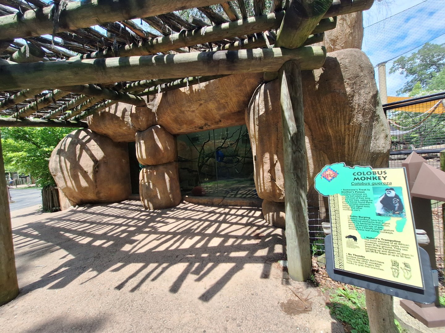 Colobus Enclosure