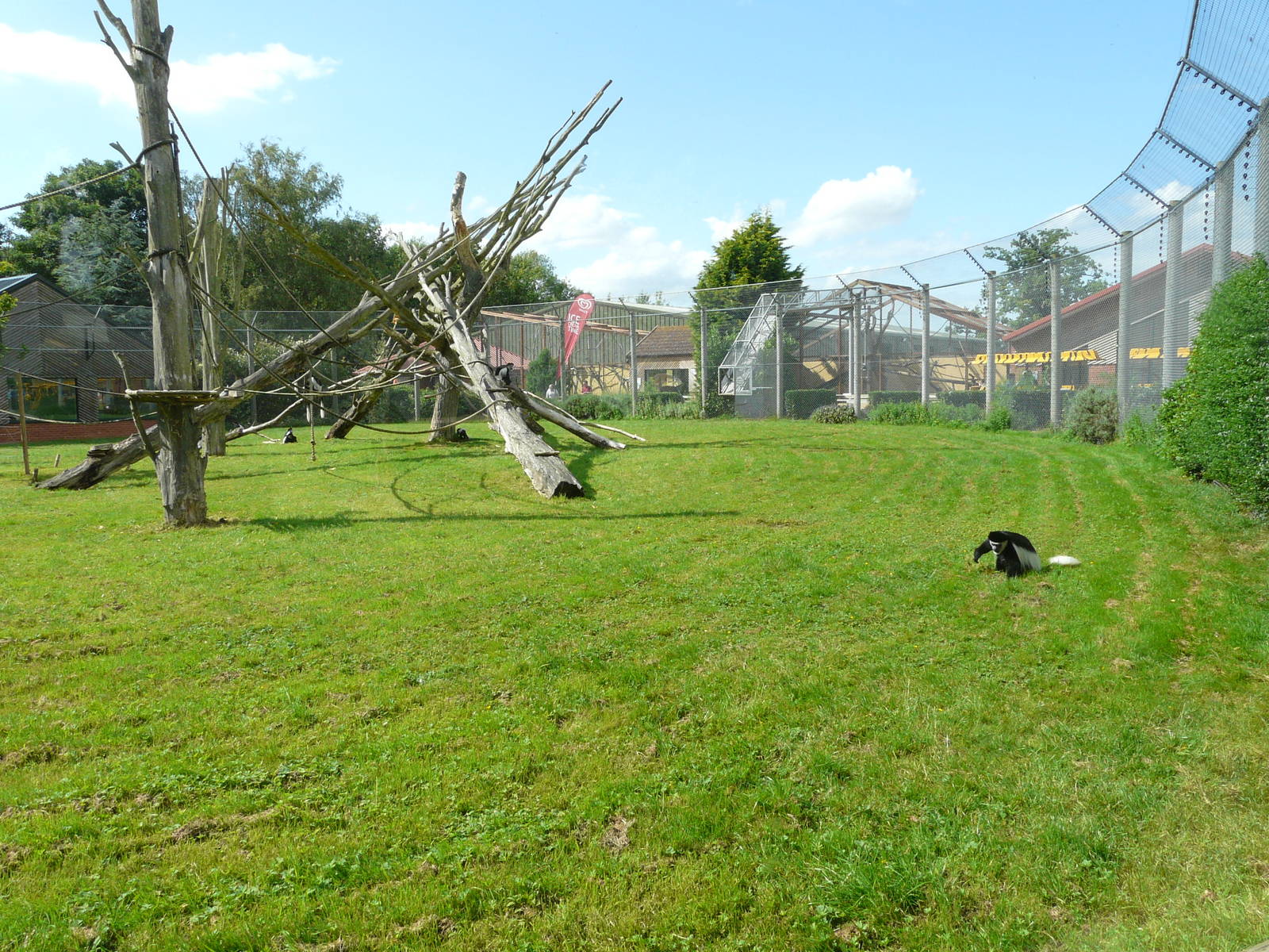 Colobus Enclosure