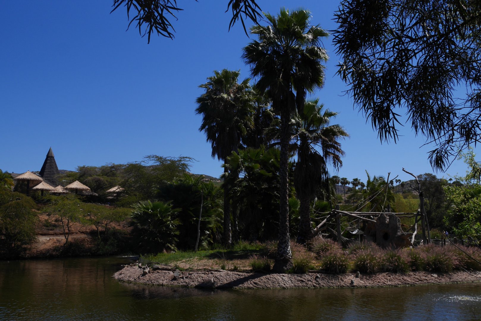 Colobus Island at African Outpost - My First US Zoo Trip
