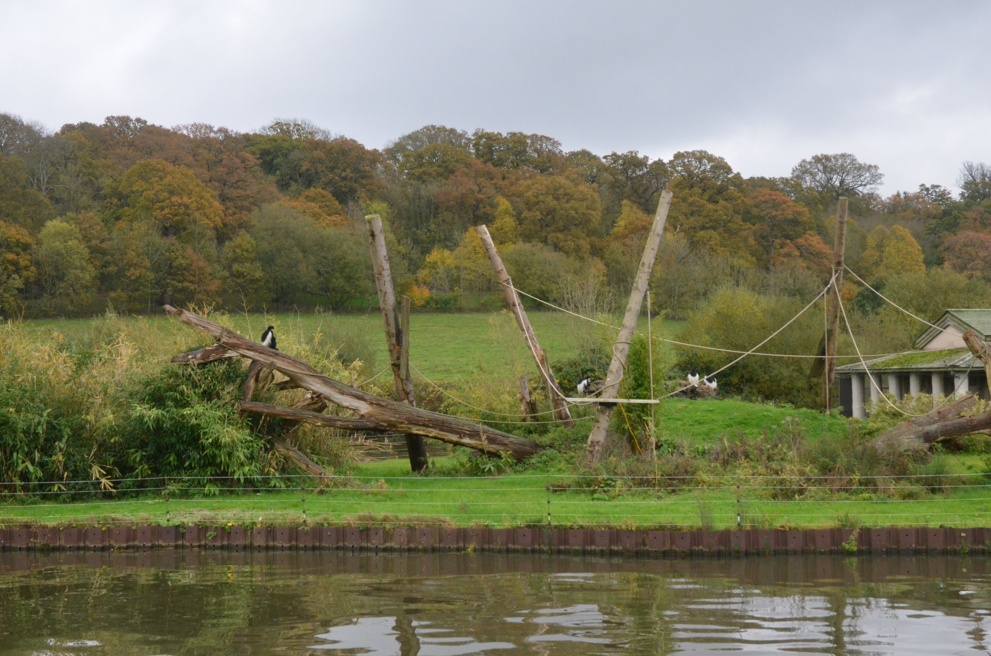 Colobus Island (Half-Mile Lake) at Longleat, 03/11/19