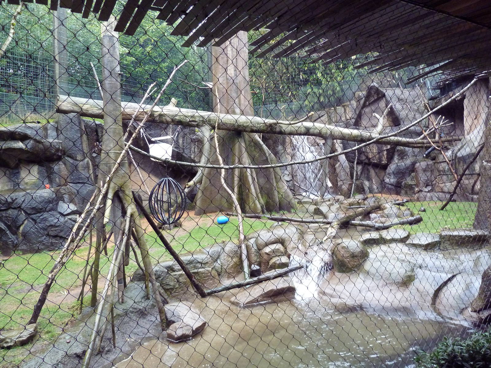 Colobus Monkey/Allen's Swamp Monkey Exhibit