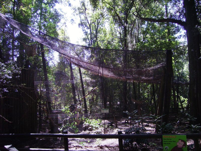 Colobus Monkey Enclosure