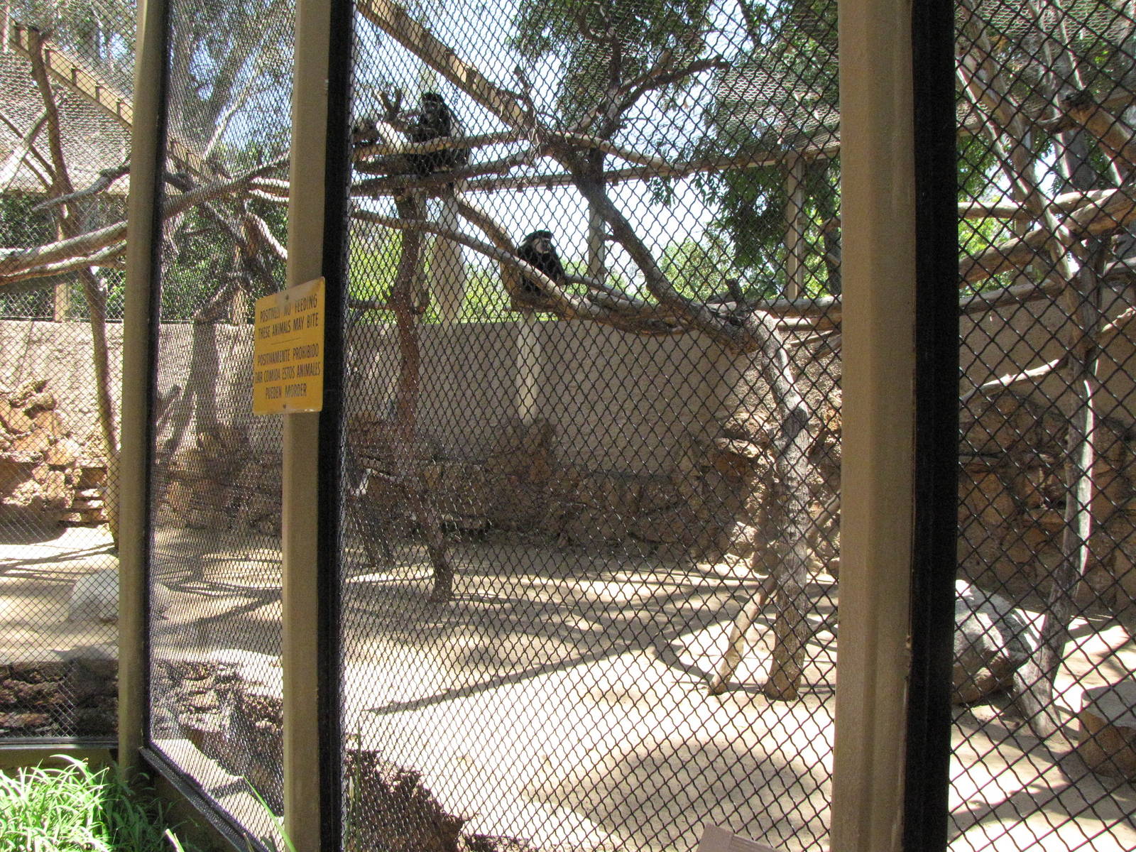 Colobus Monkey Enclosure
