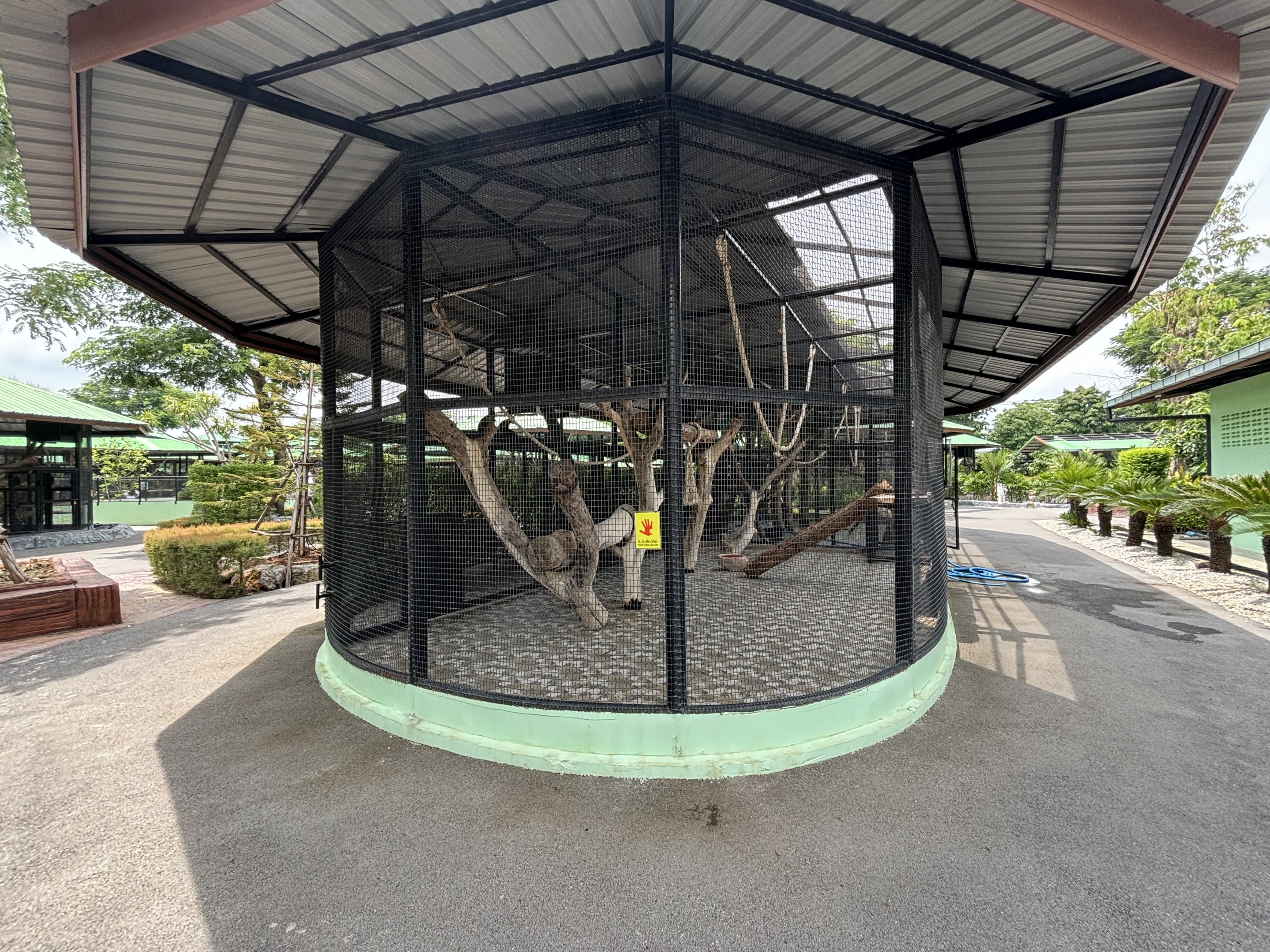 Colobus Monkey Exhibit - Lion Park