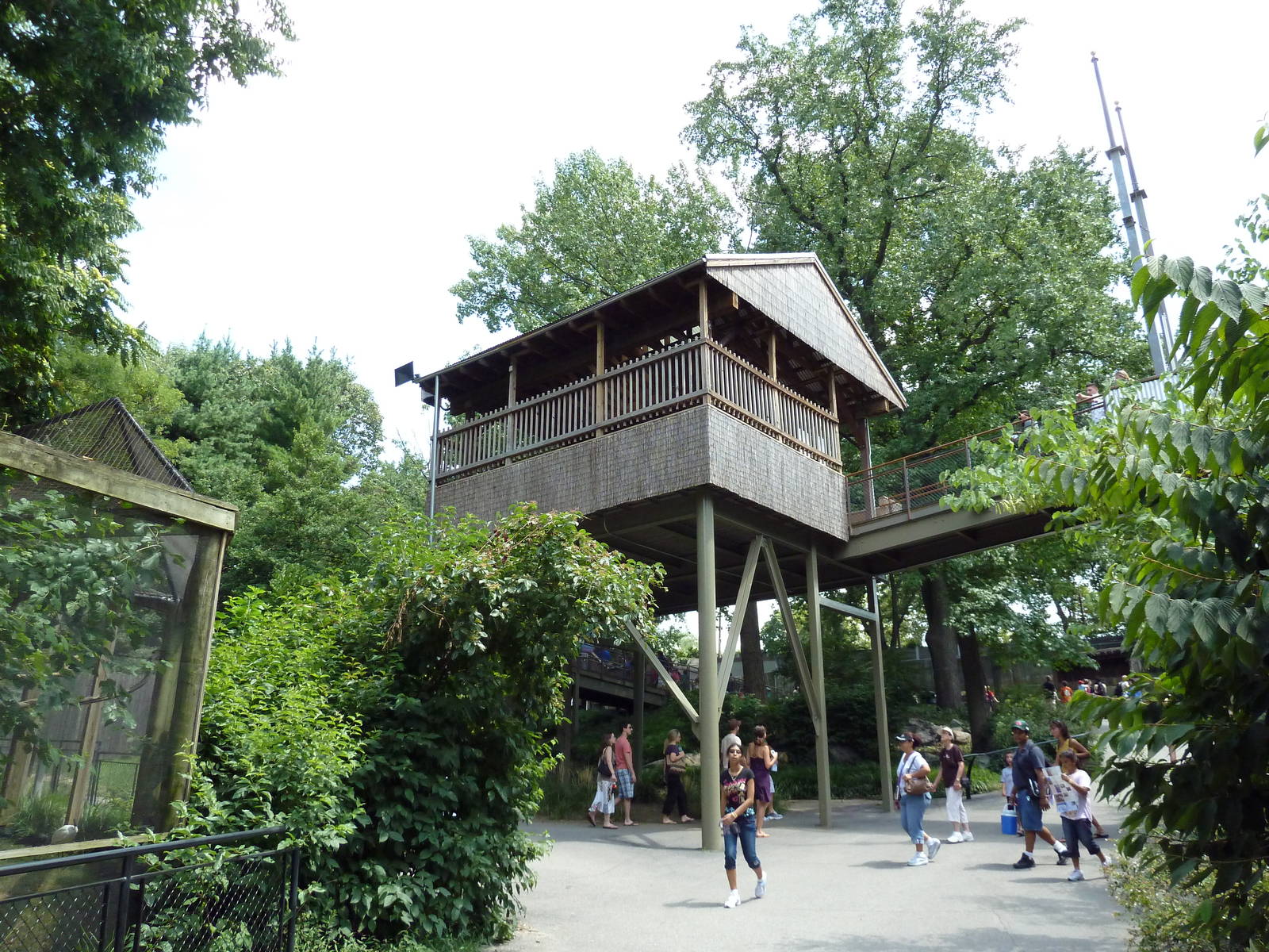 Colobus Monkey Exhibit - Overlook