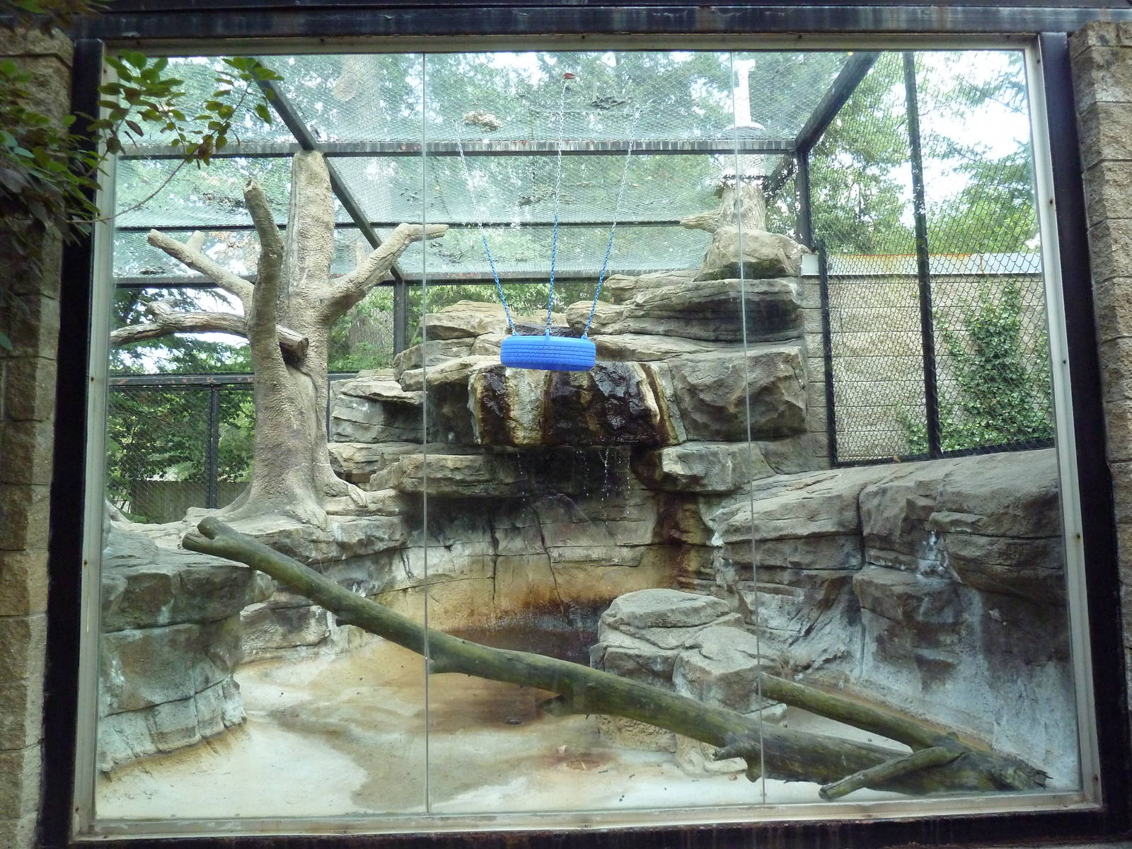Colobus Monkey Exhibit (Side View)