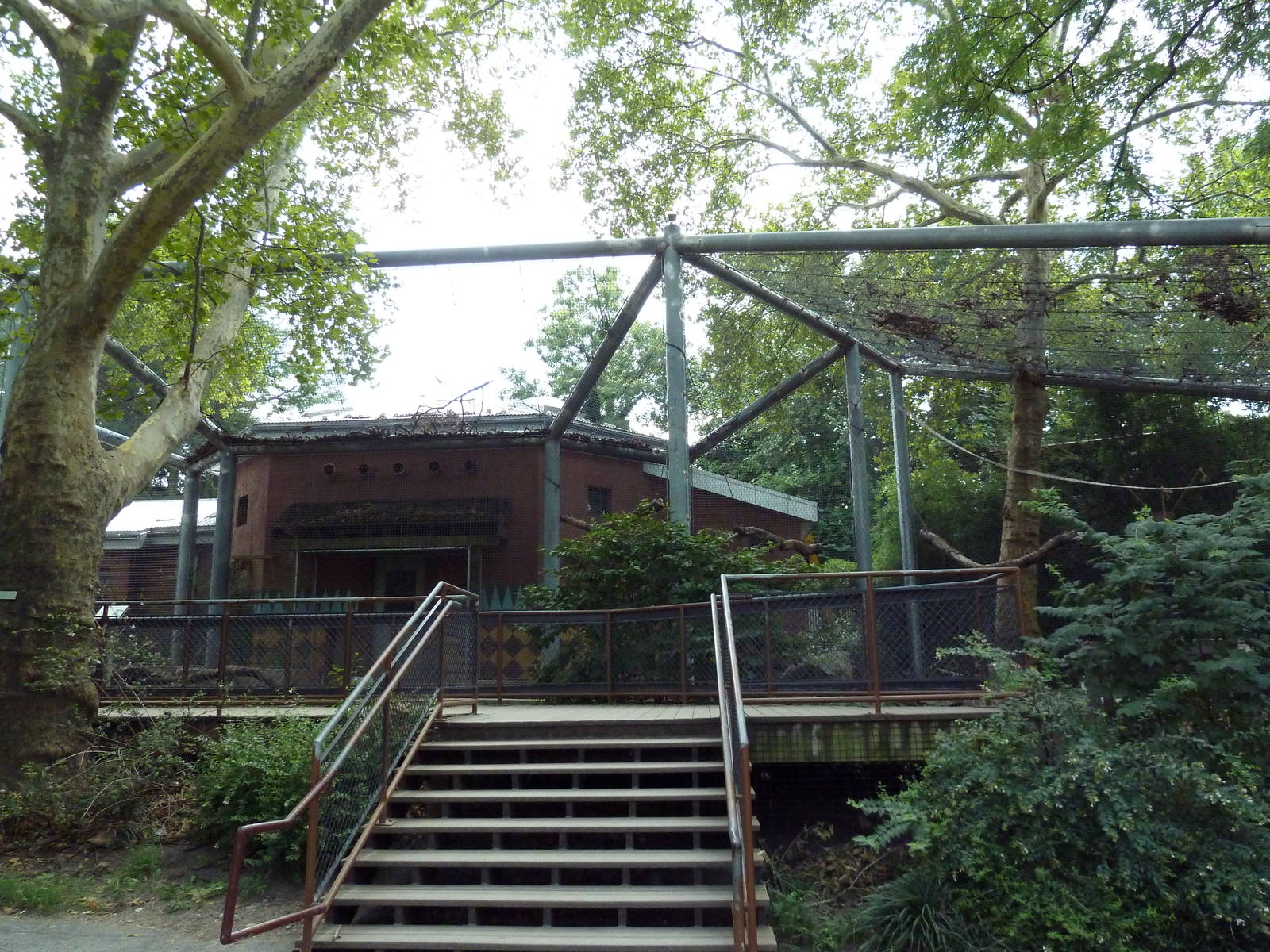 Colobus Monkey Exhibit
