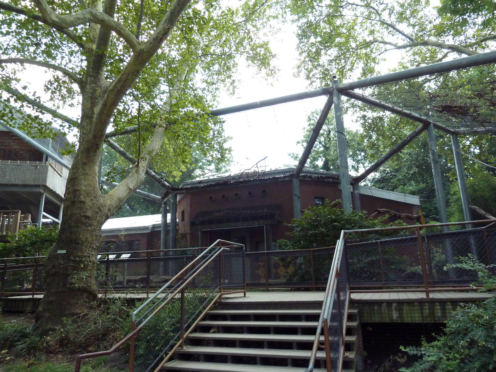 Colobus Monkey Exhibit