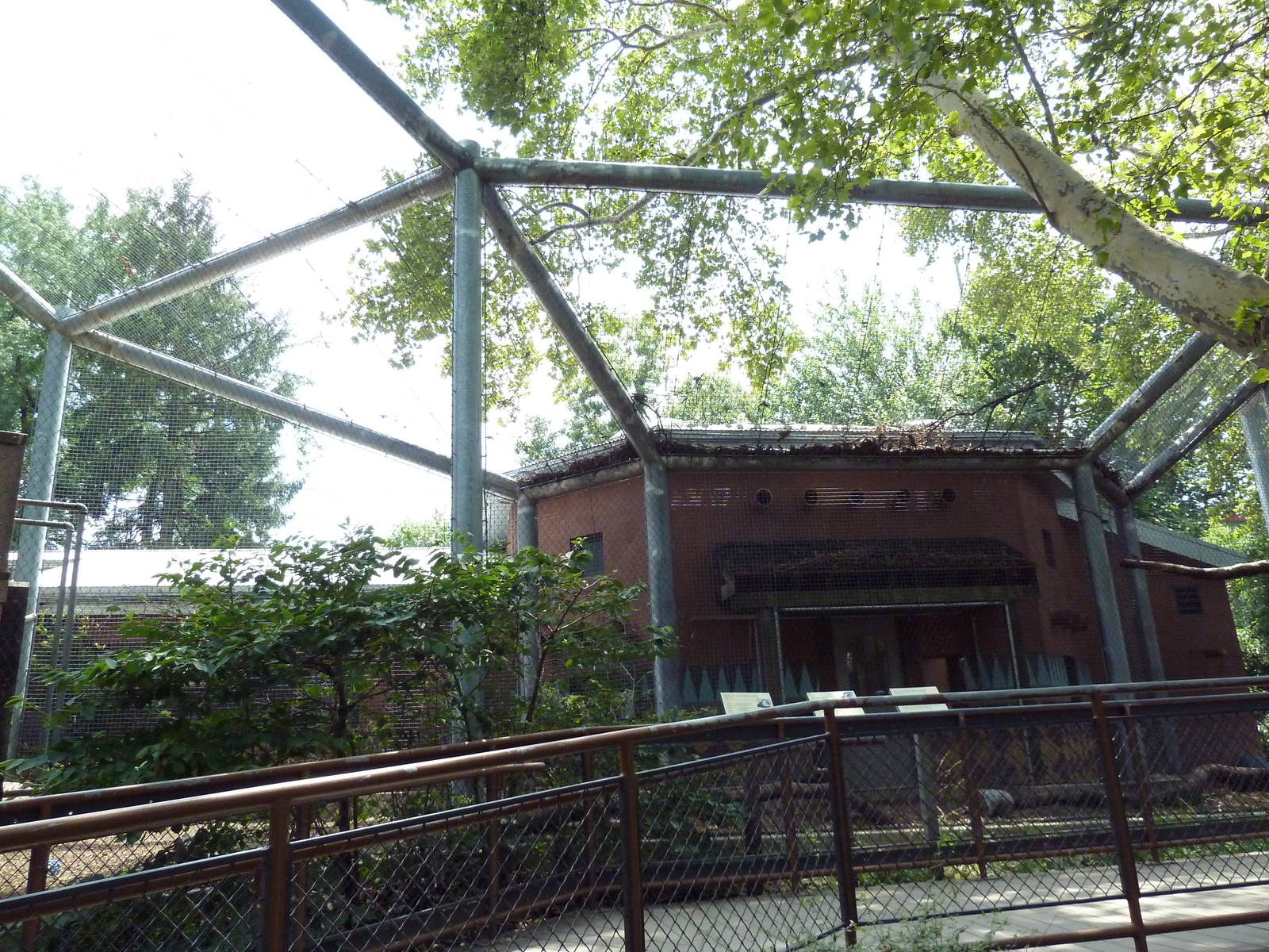 Colobus Monkey Exhibit