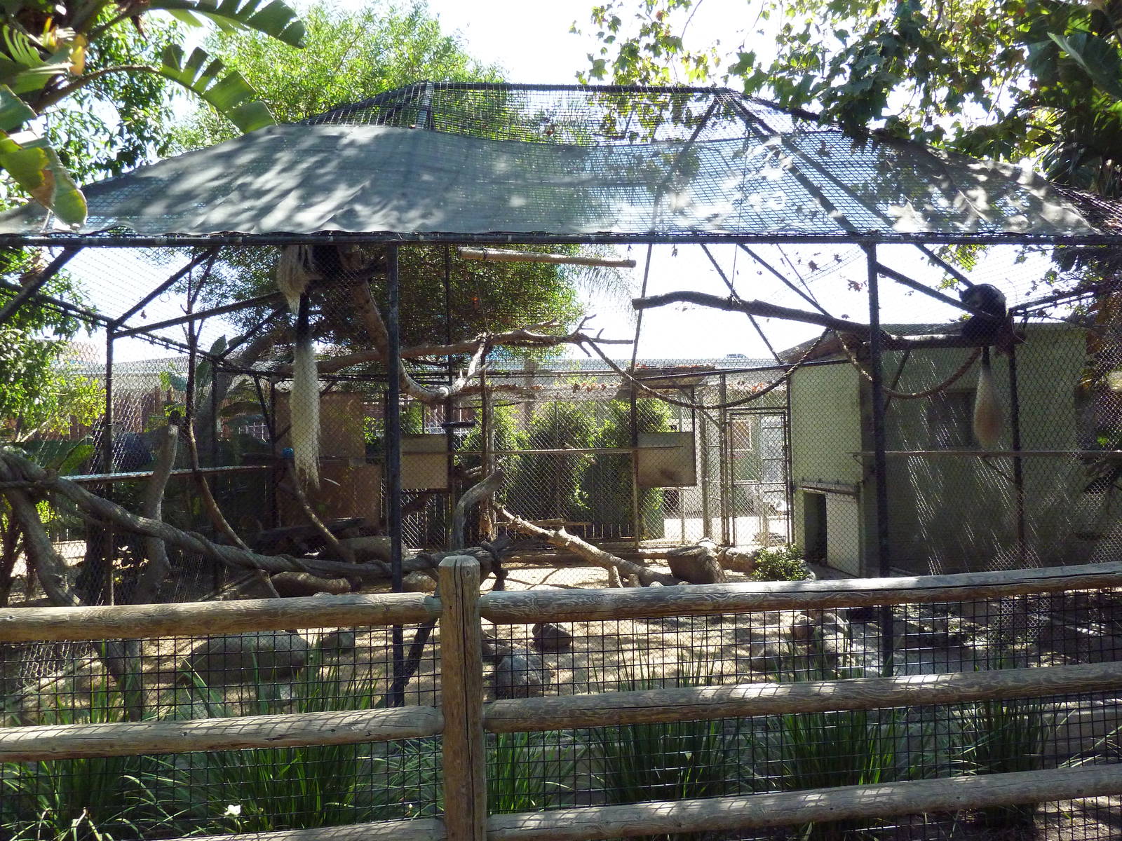 Colobus Monkey Exhibit