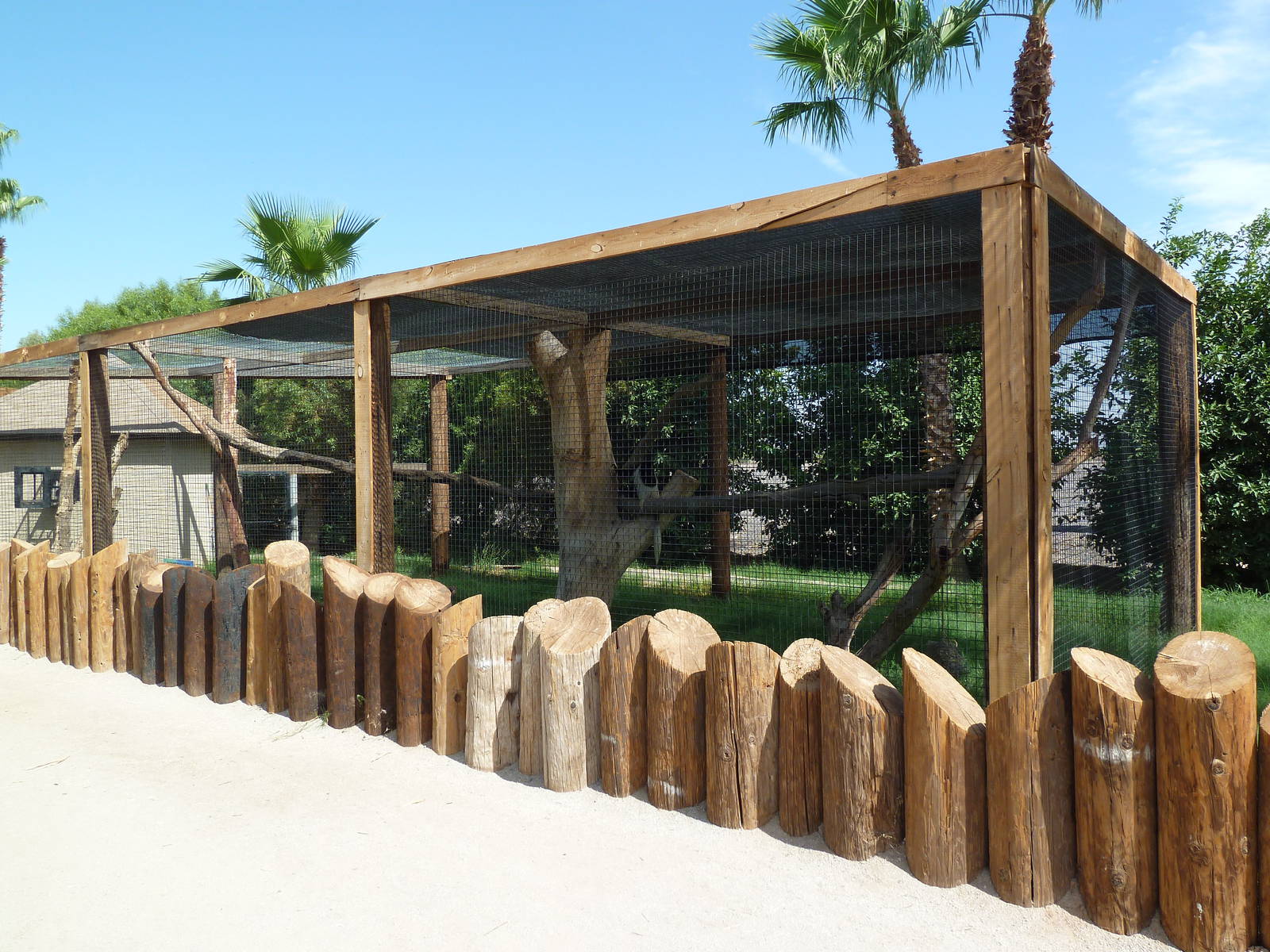 Colobus Monkey Exhibit