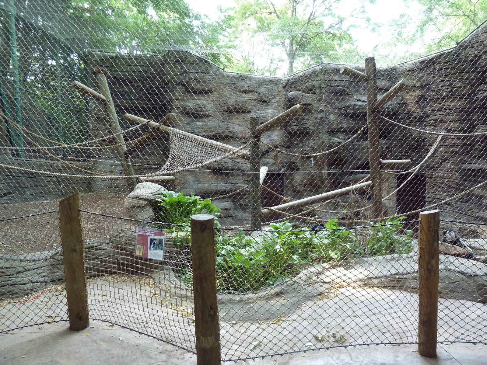 Colobus Monkey Exhibit