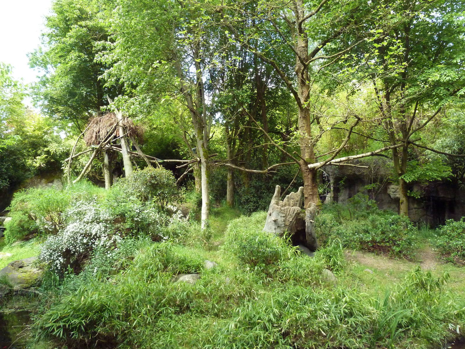 Colobus Monkey Exhibit