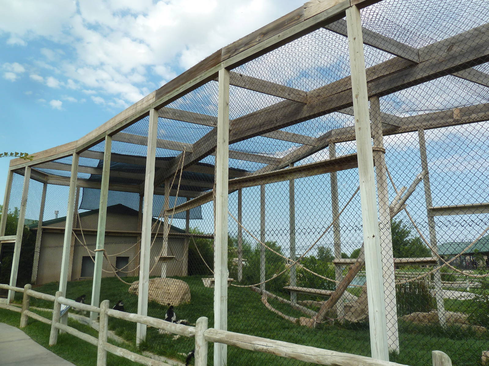 Colobus Monkey Exhibit
