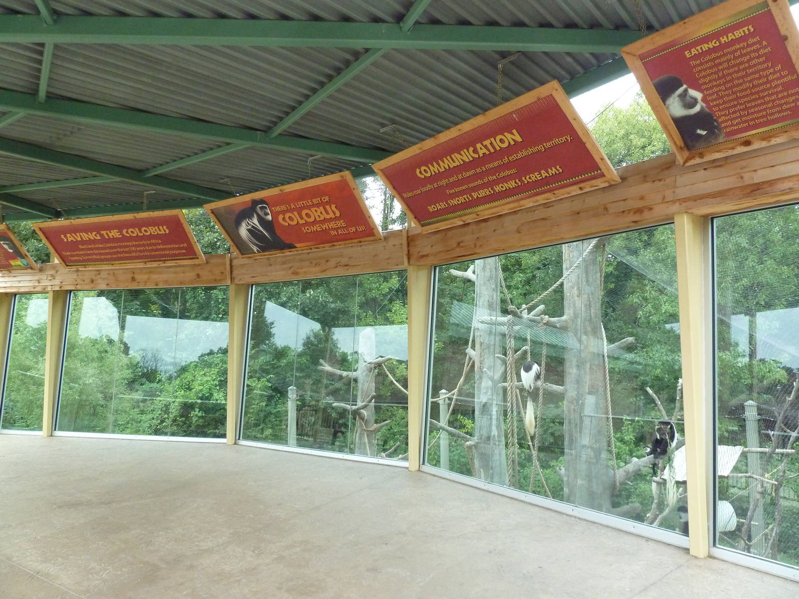 Colobus Monkey Exhibit