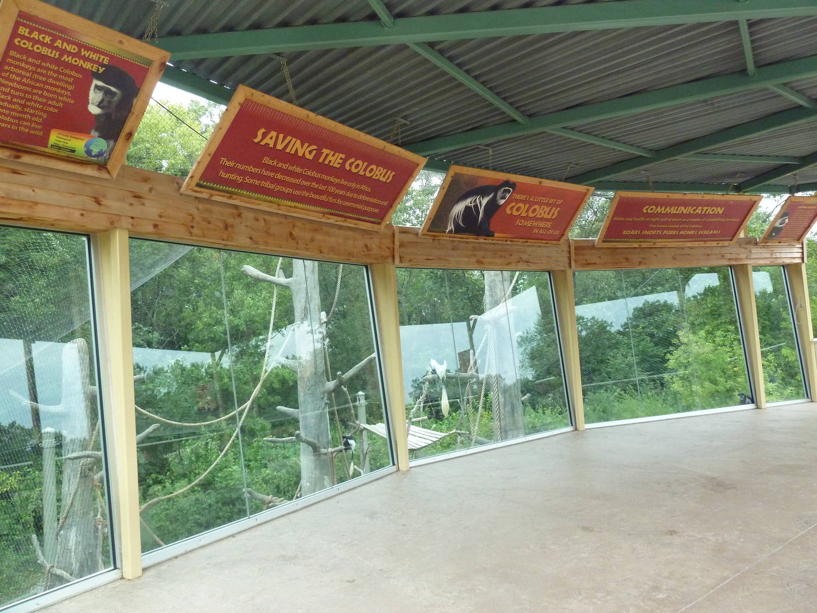 Colobus Monkey Exhibit