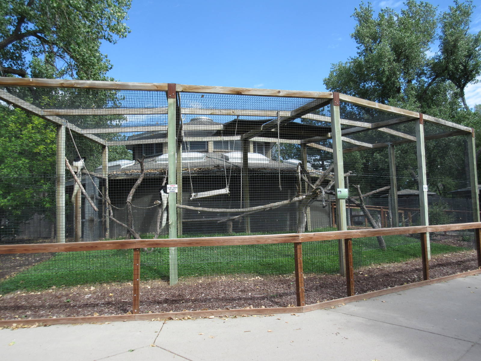 Colobus Monkey Exhibit