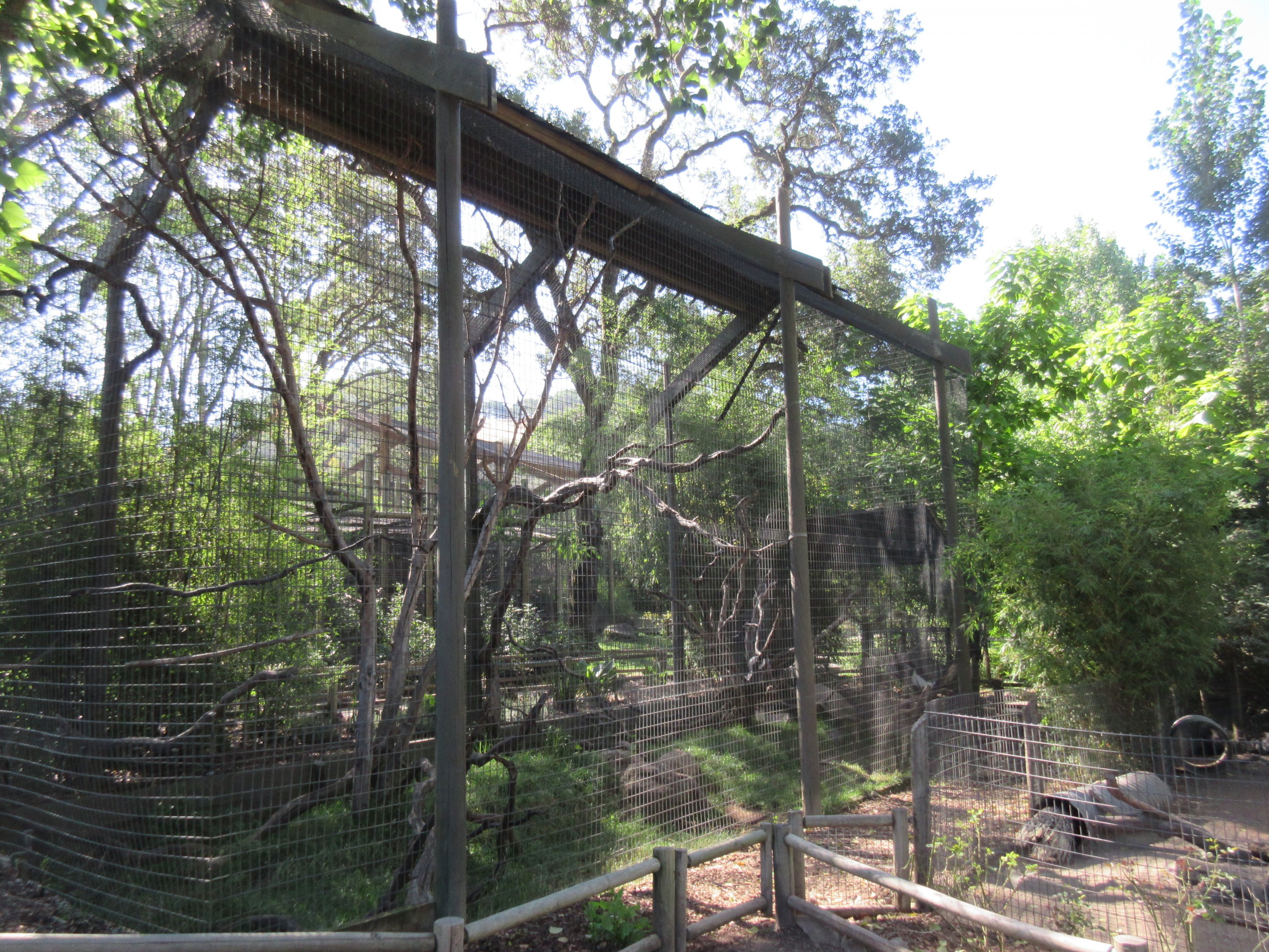 Colobus Monkey Exhibit