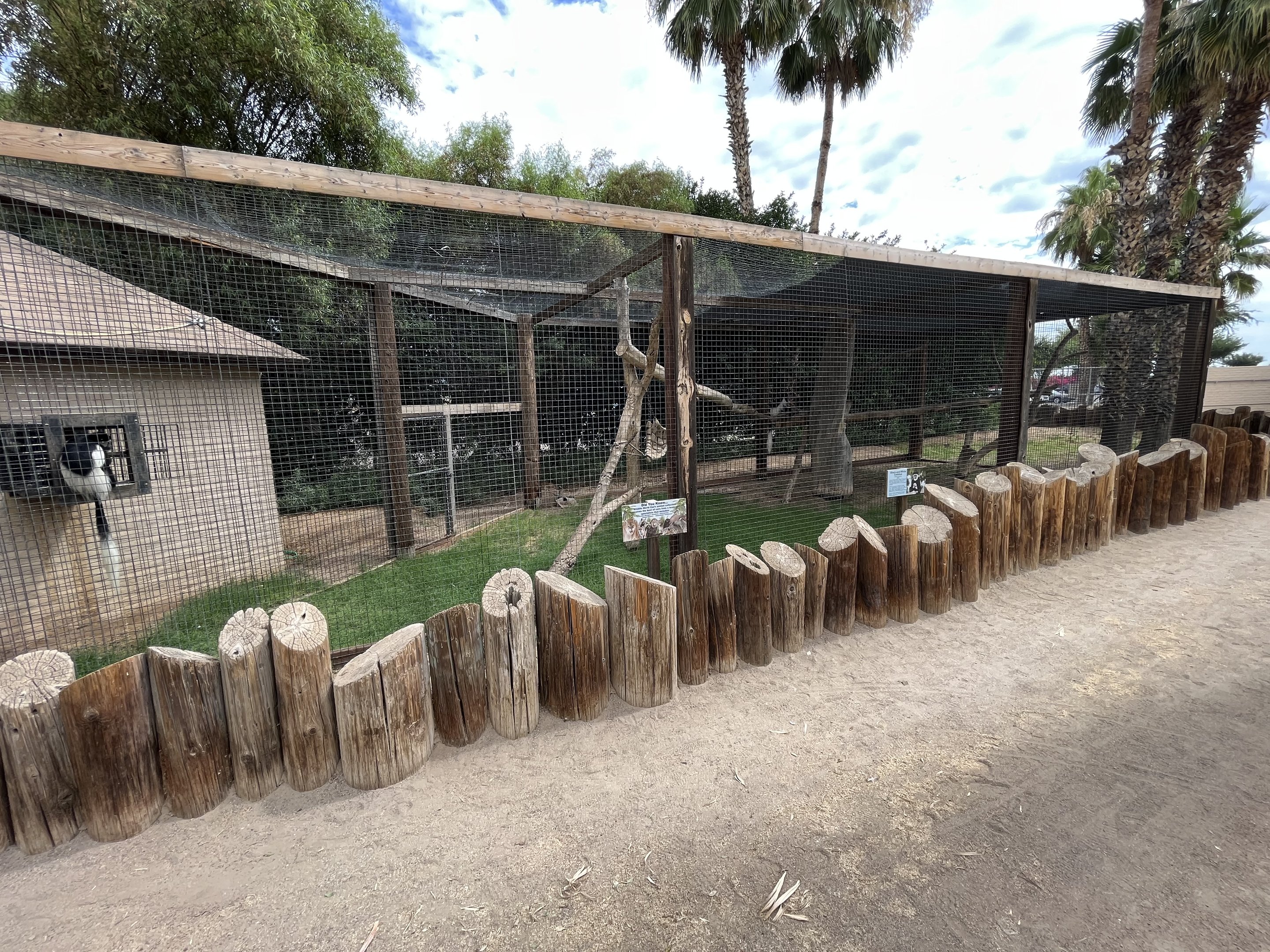 Colobus Monkey Exhibit
