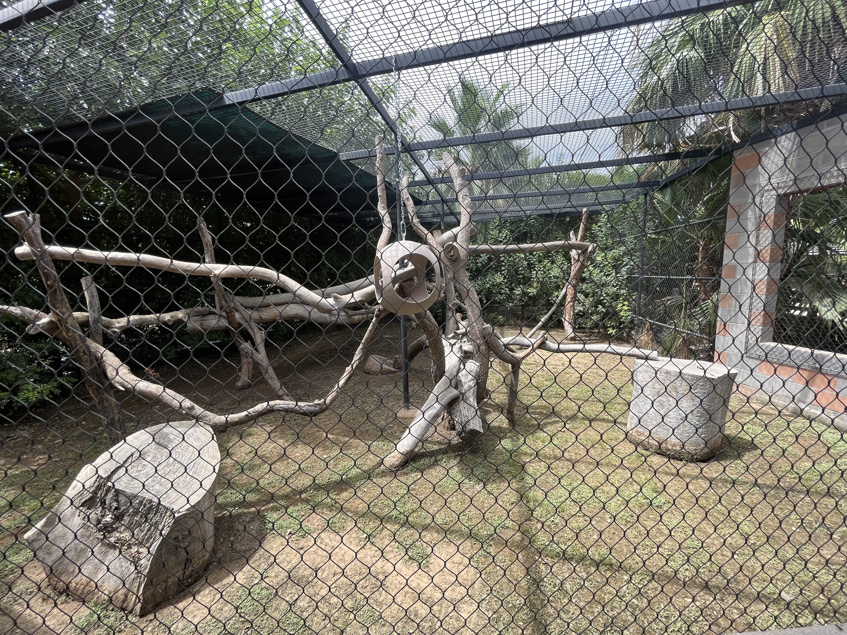 Colobus Monkey Exhibit