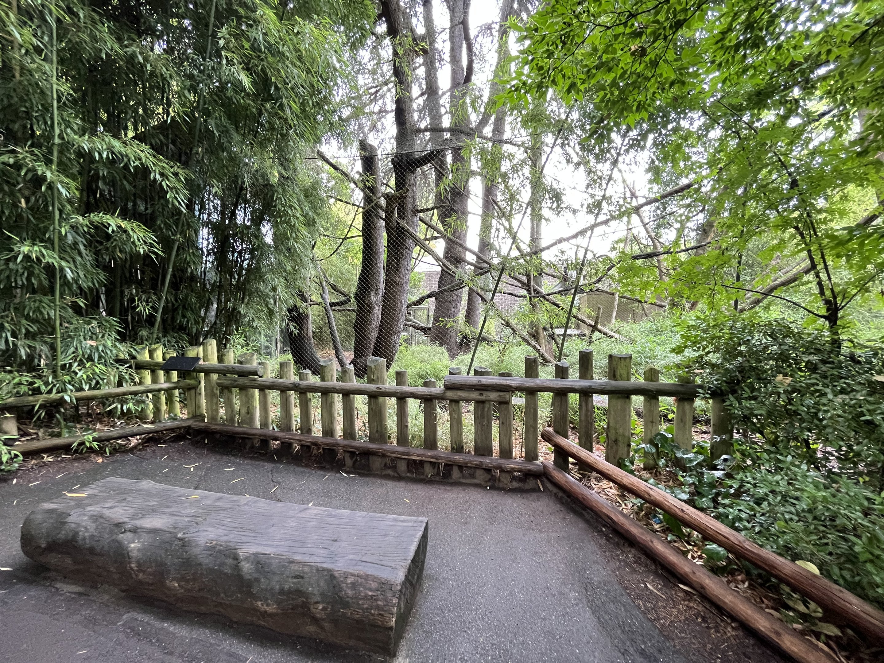 Colobus Monkey Exhibit