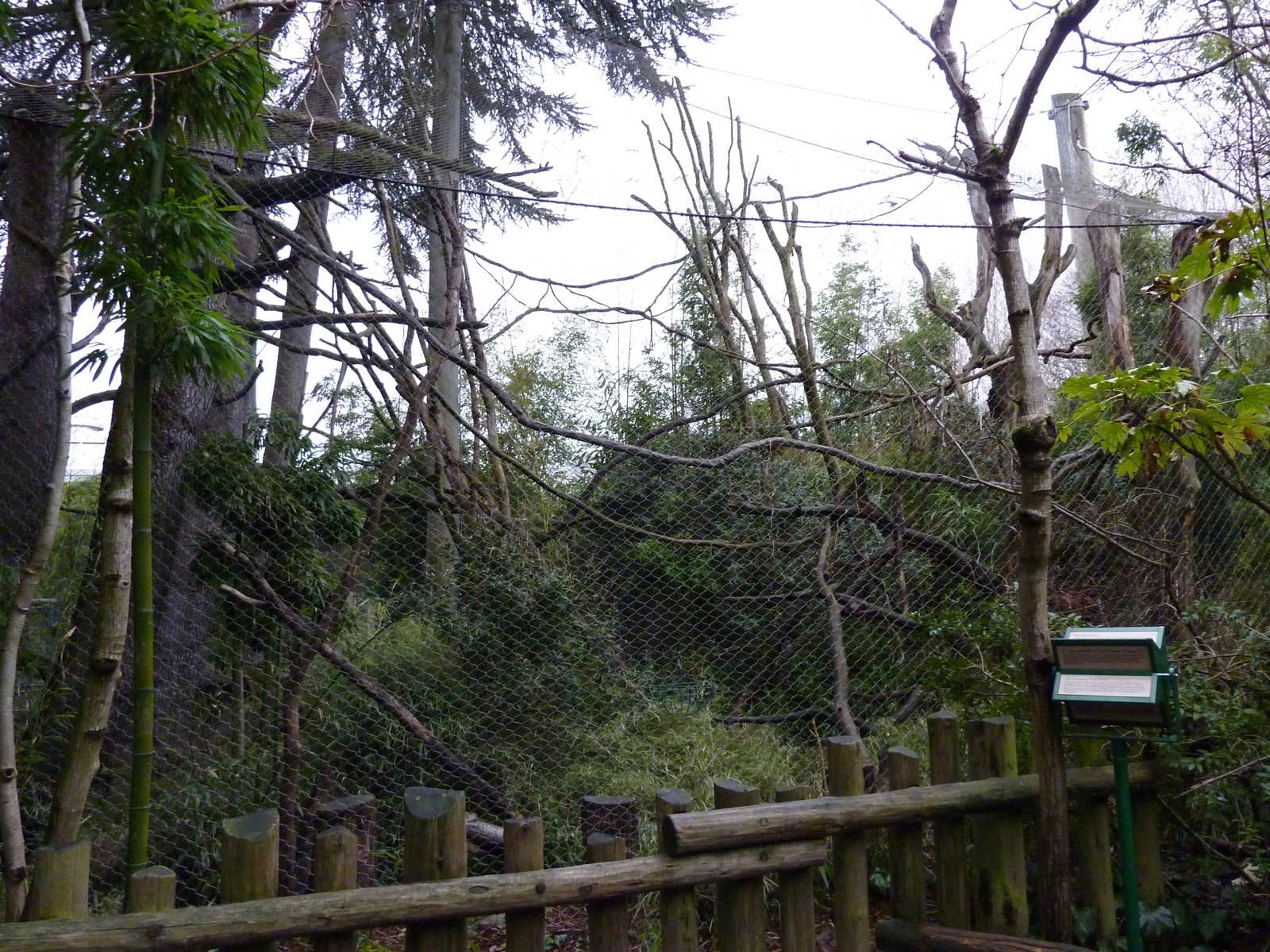 Colobus Monkey Exhibit