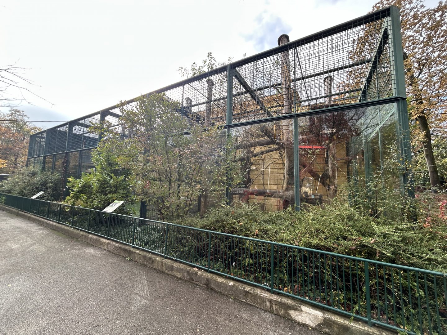 Colobus Monkey & Hanuman Langur Exhibits