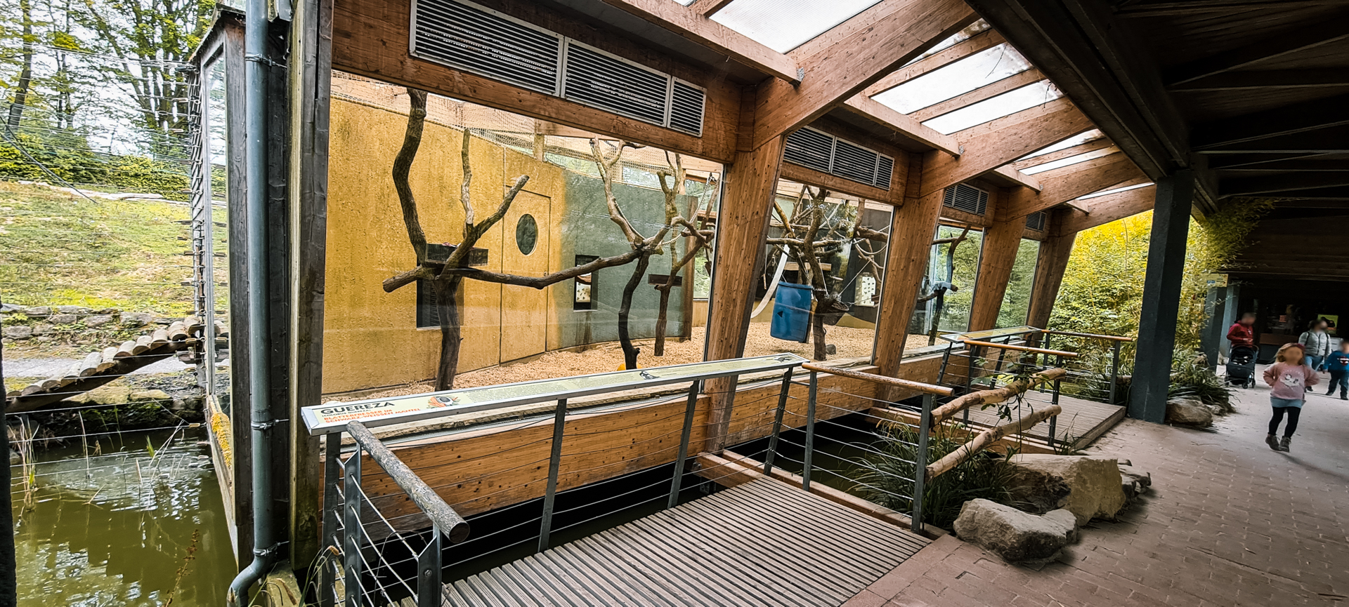 Colobus monkey indoor