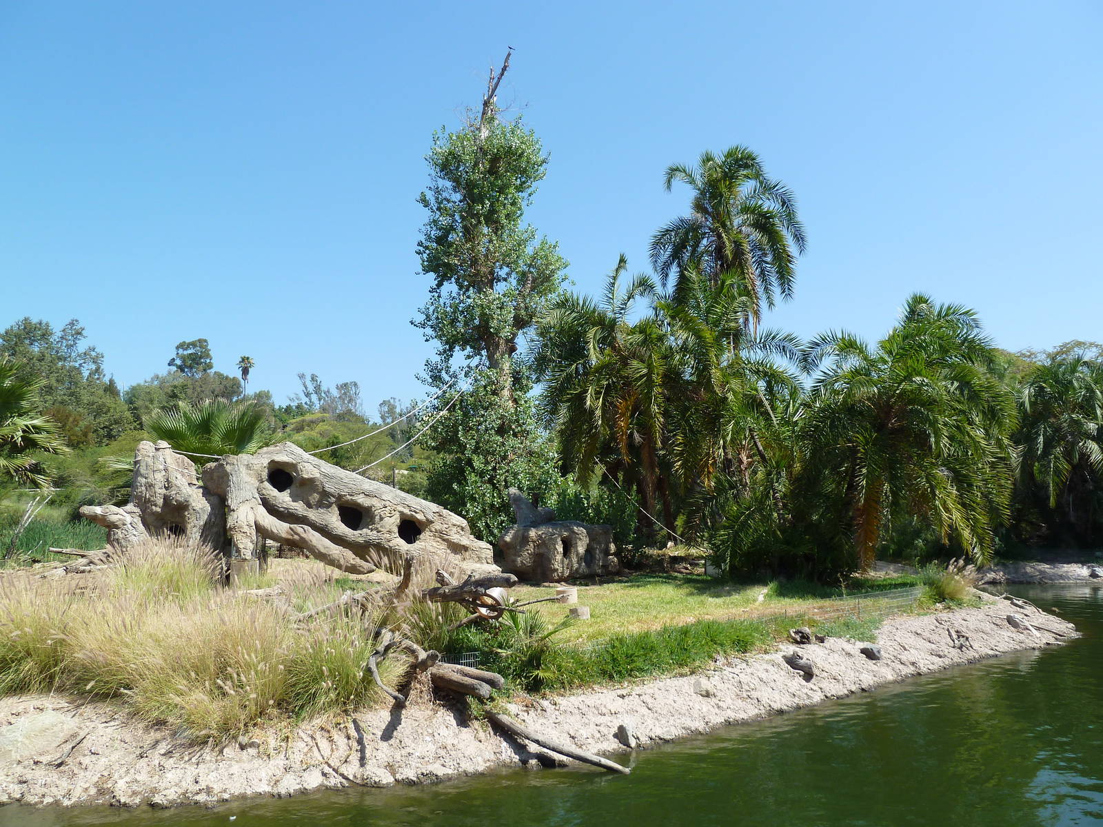 Colobus Monkey Island