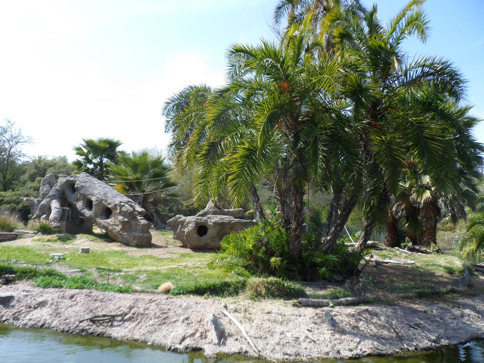 Colobus Monkey Island