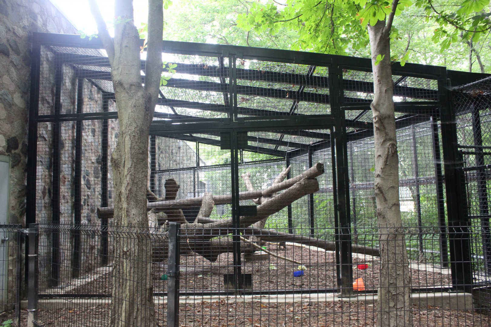 Colobus Monkey Outdoor Exhibit