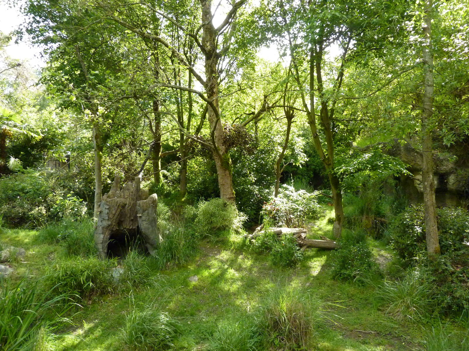 Colobus Monkey/Red-Flanked Duiker Exhibit