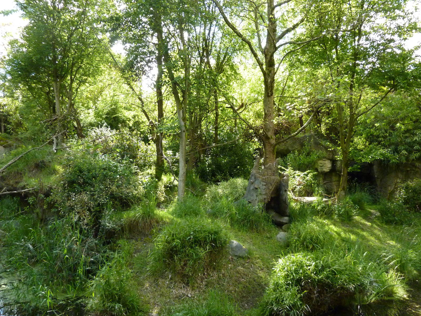Colobus Monkey/Red-Flanked Duiker Exhibit