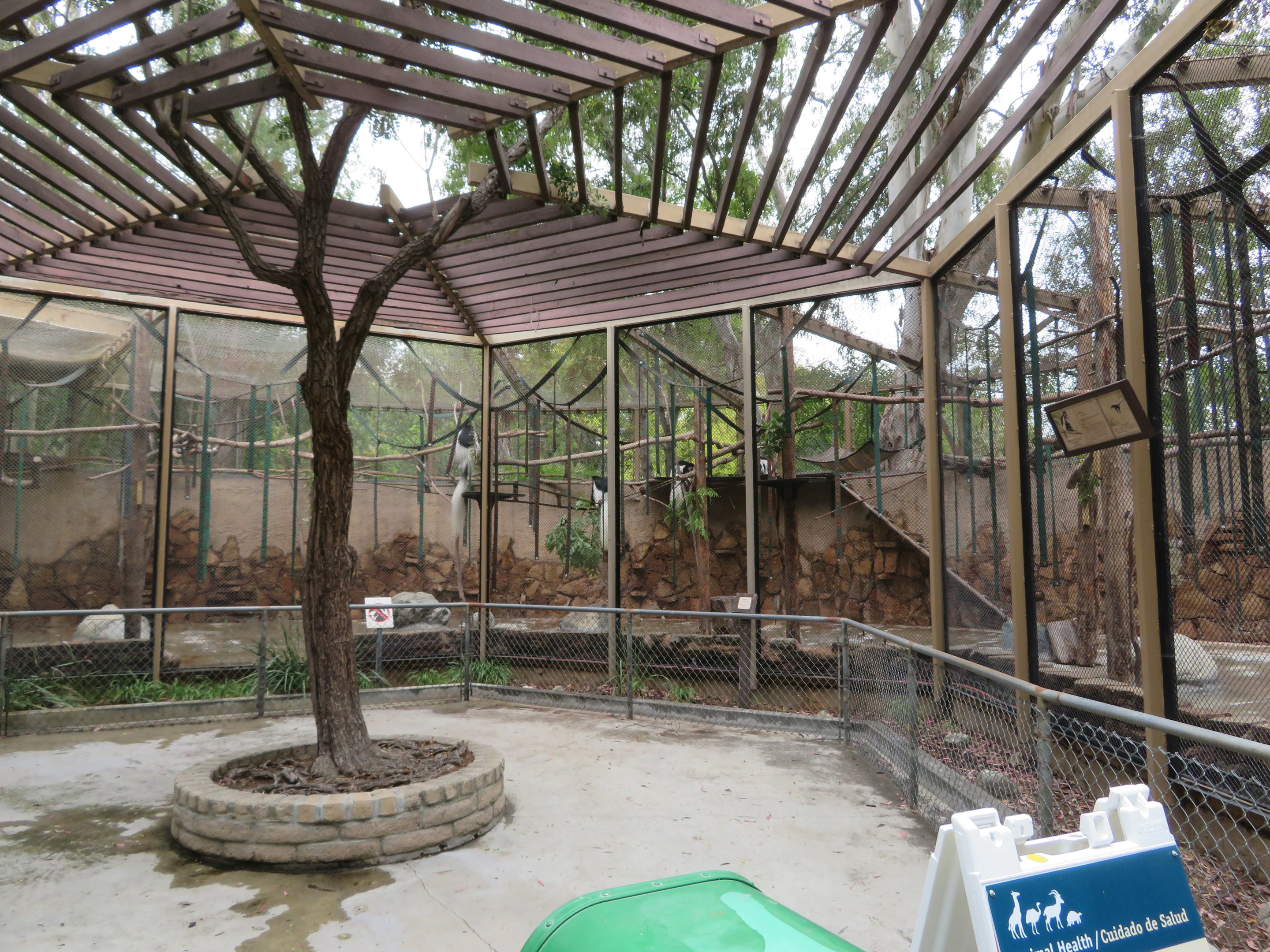 Colobus Monkey Roundhouse