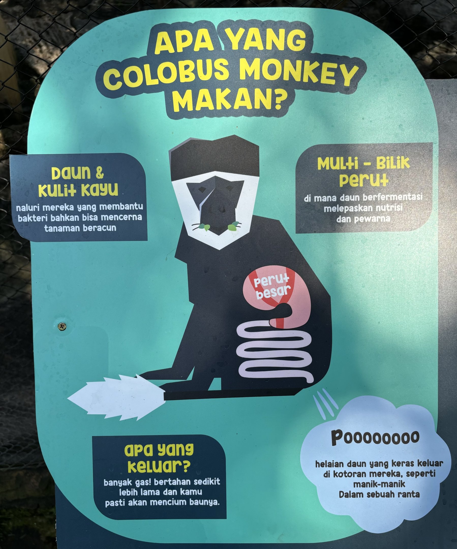 Colobus Monkey Sign