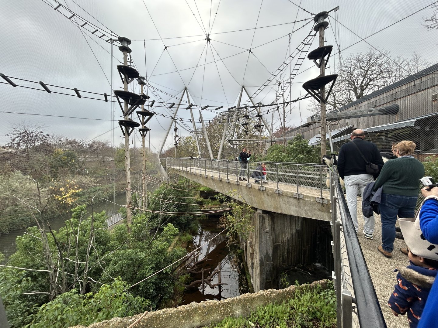 Colobus Monkey Walkthrough Exhibit (Snowden Aviary)