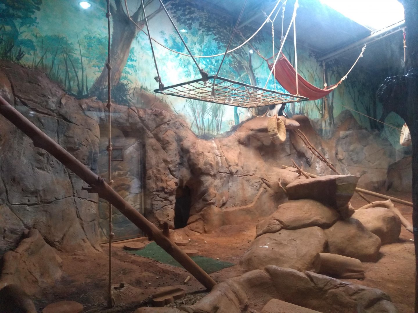 Colobus monkeys exhibit - São Paulo Aquarium