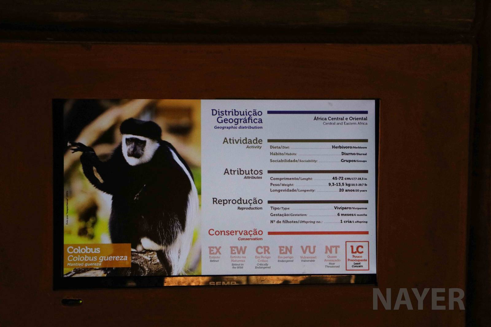 Colobus signs, April 2016