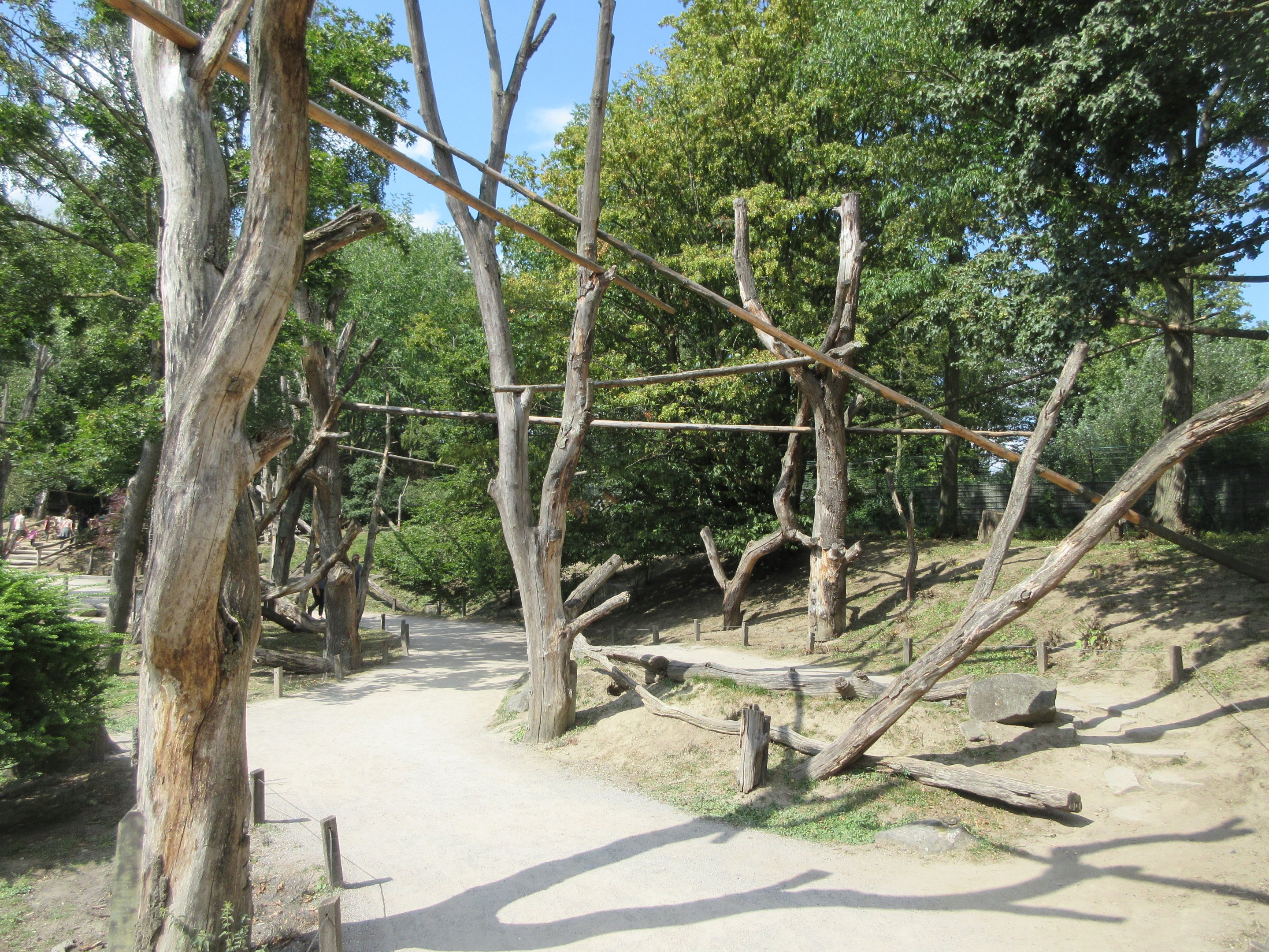 Colobus Walk-through Exhibit