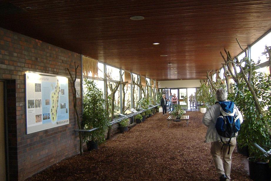 Cologne lemur house