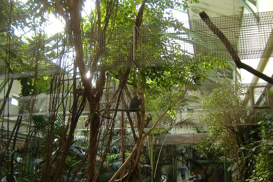 Cologne SAmerican primate house